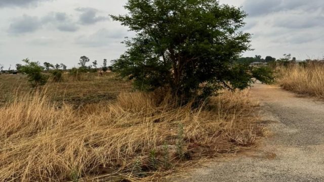 WhatsApp Image 2025-10-23 at 14.00.52