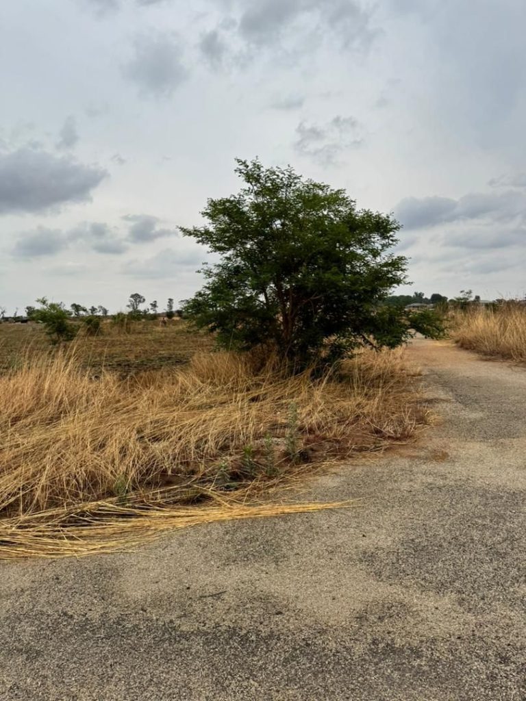 WhatsApp Image 2025-10-23 at 14.00.52