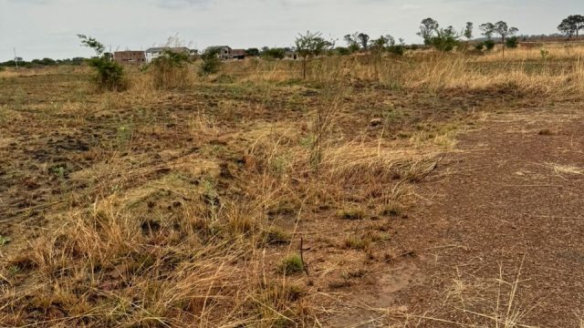 WhatsApp Image 2025-10-23 at 14.00.53