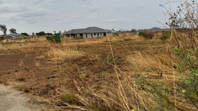 WhatsApp Image 2025-10-23 at 14.00.54 (1)