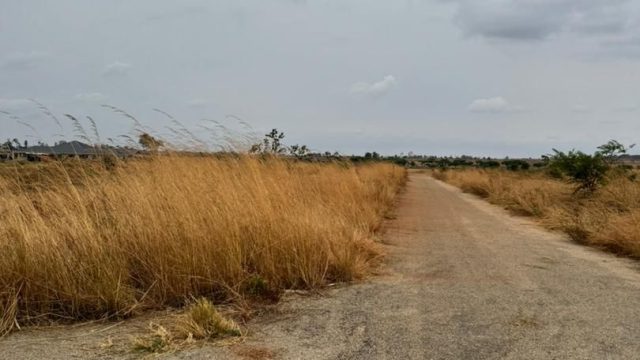 WhatsApp Image 2025-10-23 at 14.00.54