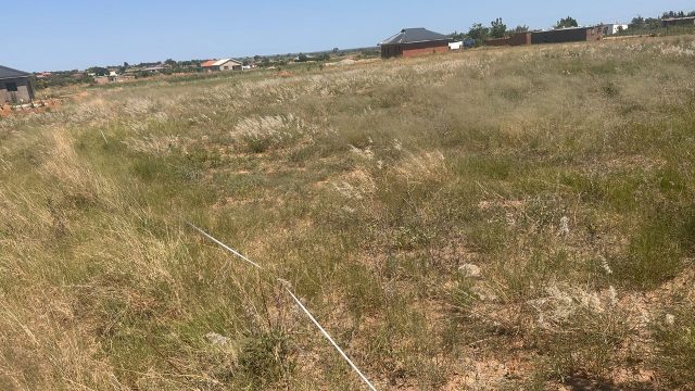 WhatsApp Image 2025-10-24 at 12.24.07