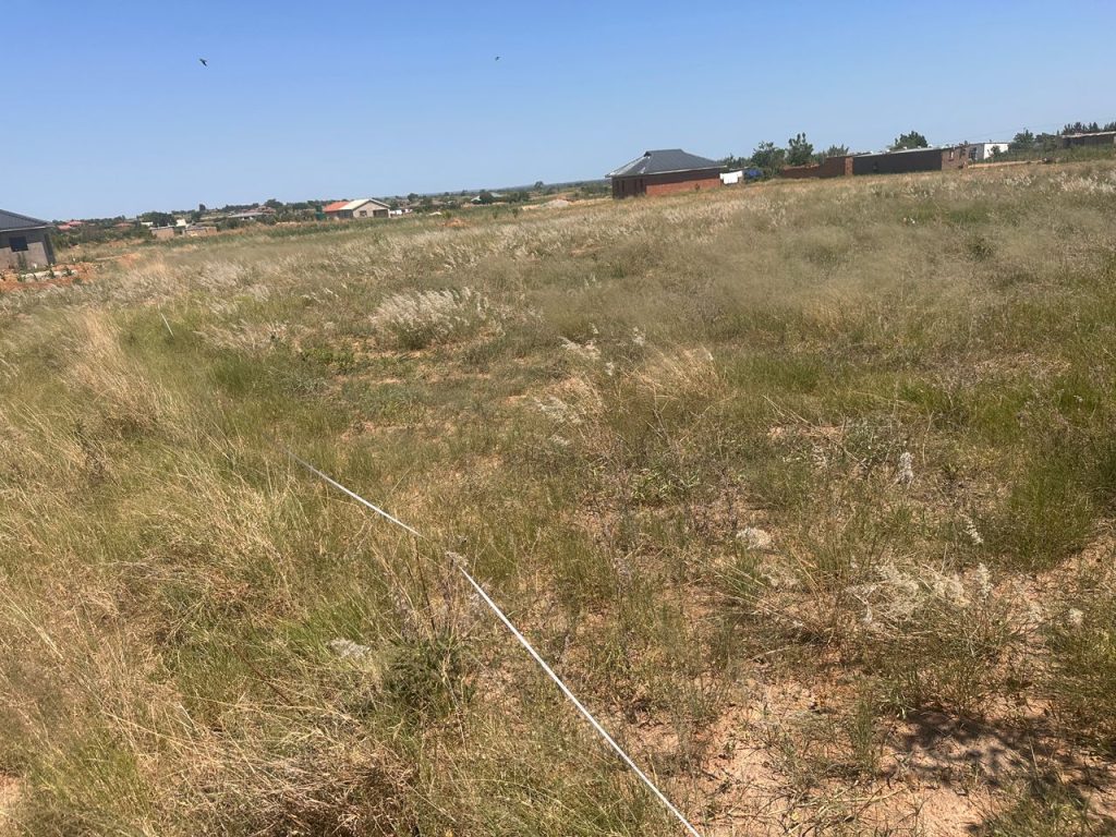 WhatsApp Image 2025-10-24 at 12.24.07