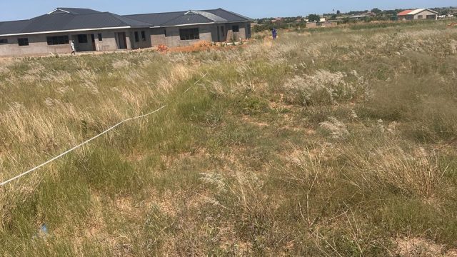 WhatsApp Image 2025-10-24 at 12.24.08 (1)