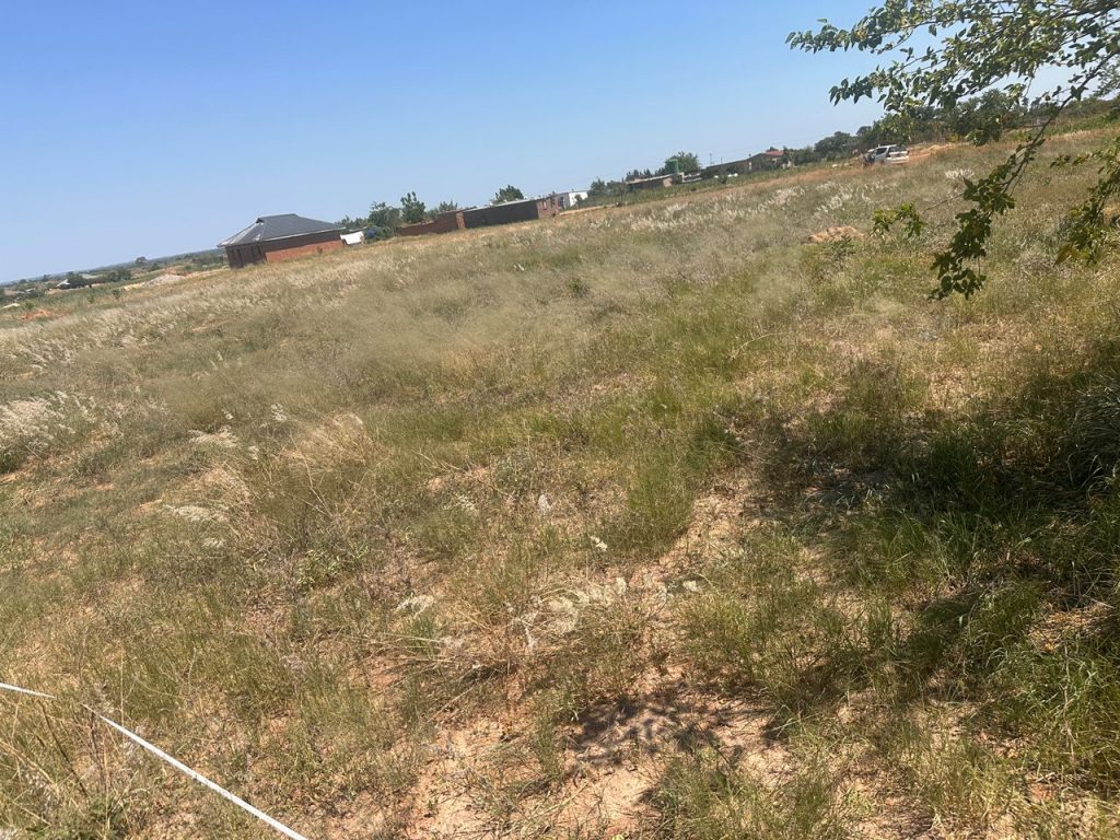 WhatsApp Image 2025-10-24 at 12.24.08