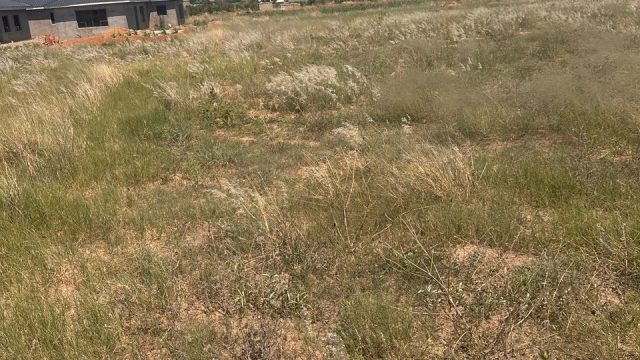 WhatsApp Image 2025-10-24 at 12.24.08 (2)