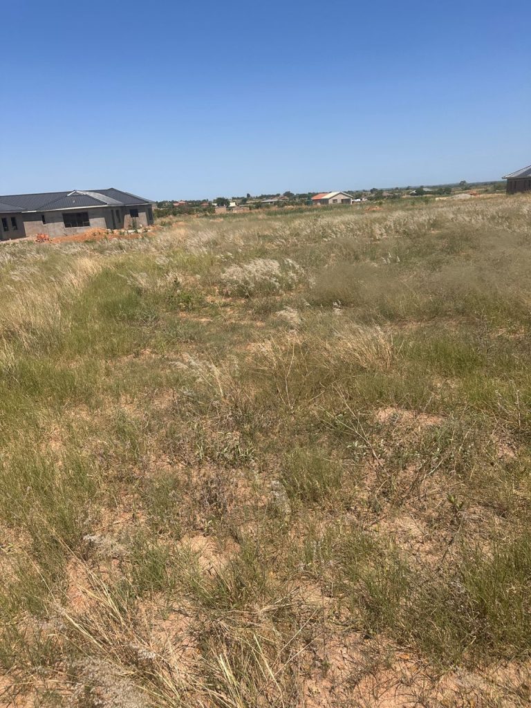 WhatsApp Image 2025-10-24 at 12.24.08 (2)