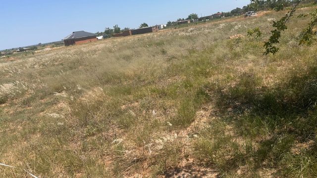 WhatsApp Image 2025-10-24 at 12.24.08