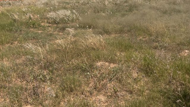 WhatsApp Image 2025-10-24 at 12.24.09