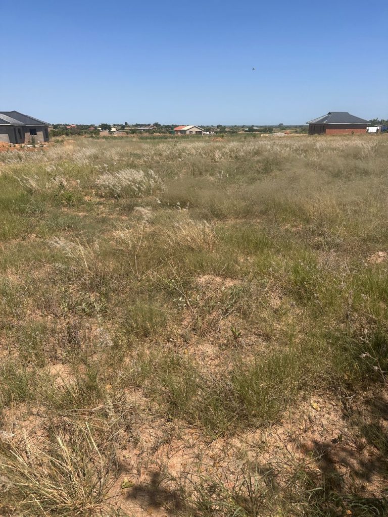 WhatsApp Image 2025-10-24 at 12.24.09