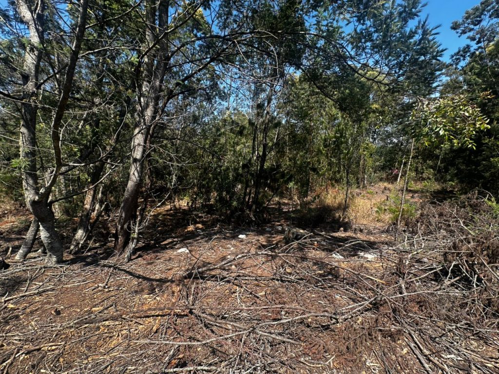 WhatsApp Image 2025-10-30 at 10.10.53 (1)