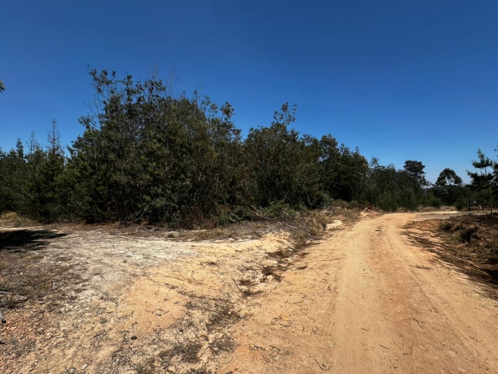 WhatsApp Image 2025-10-30 at 10.10.53