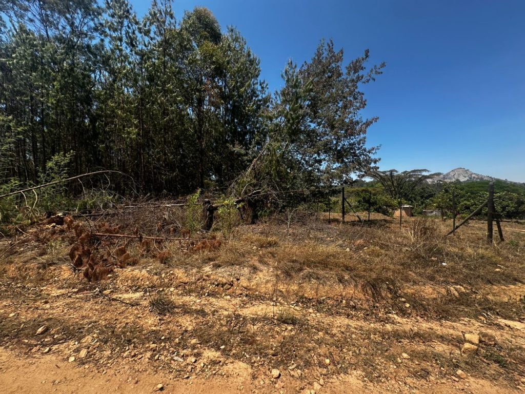 WhatsApp Image 2025-10-30 at 10.10.53 (2)