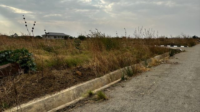 WhatsApp Image 2025-10-30 at 10.15.36